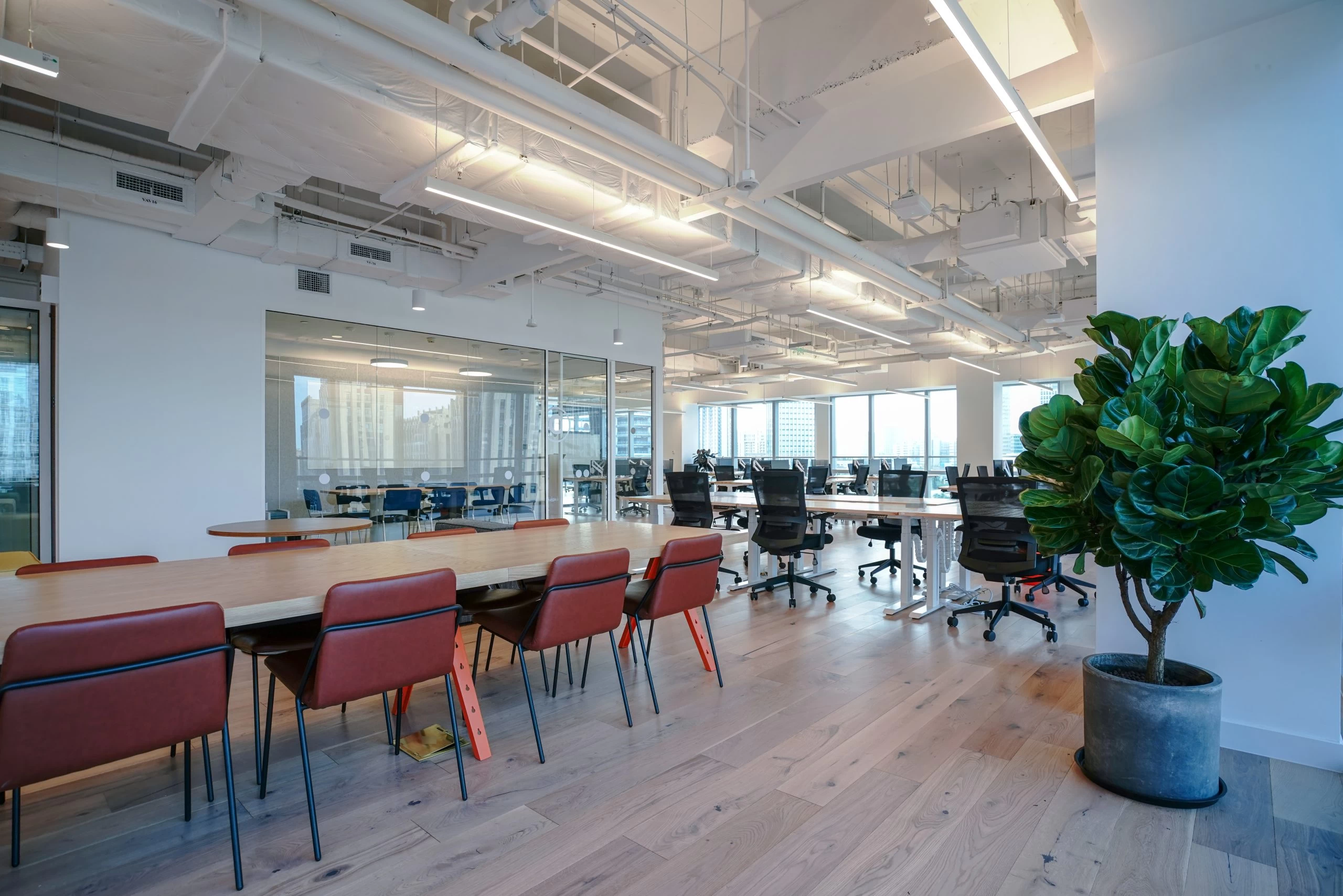 Commercial Build-Out — GTA Retail Space